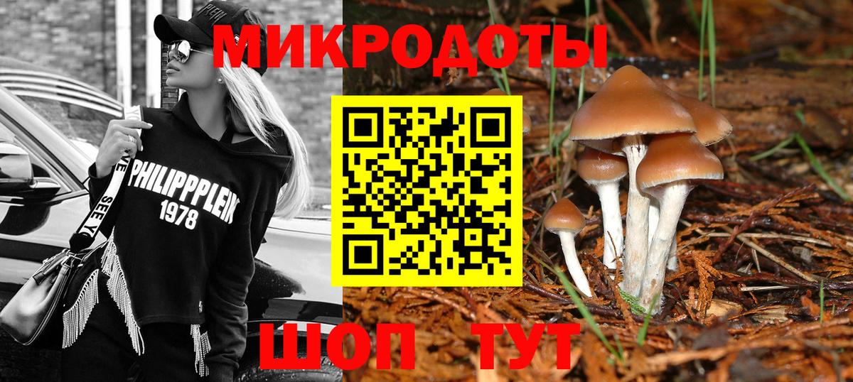 Артём  сколько стоит  Вход с VPN  Галлюциногенные грибы MAGIC MUSHROOMS 