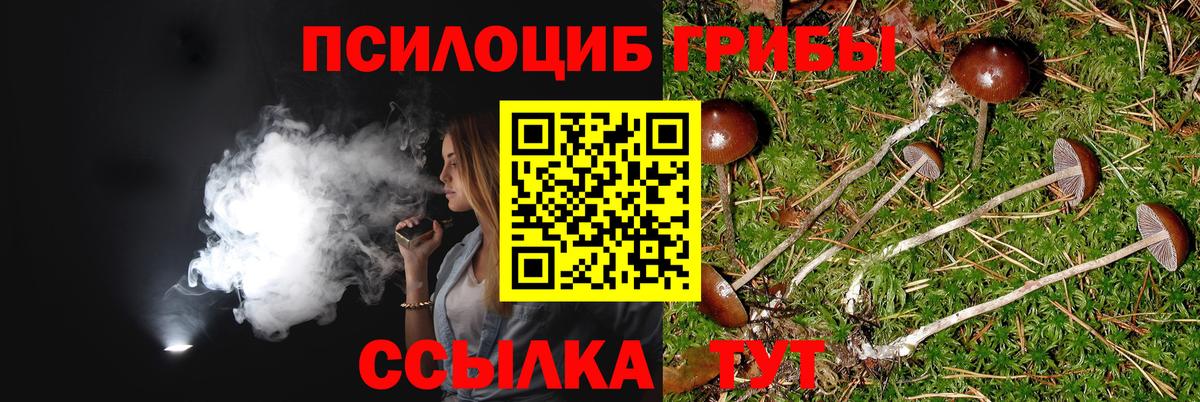 Галлюциногенные грибы MAGIC MUSHROOMS Артём